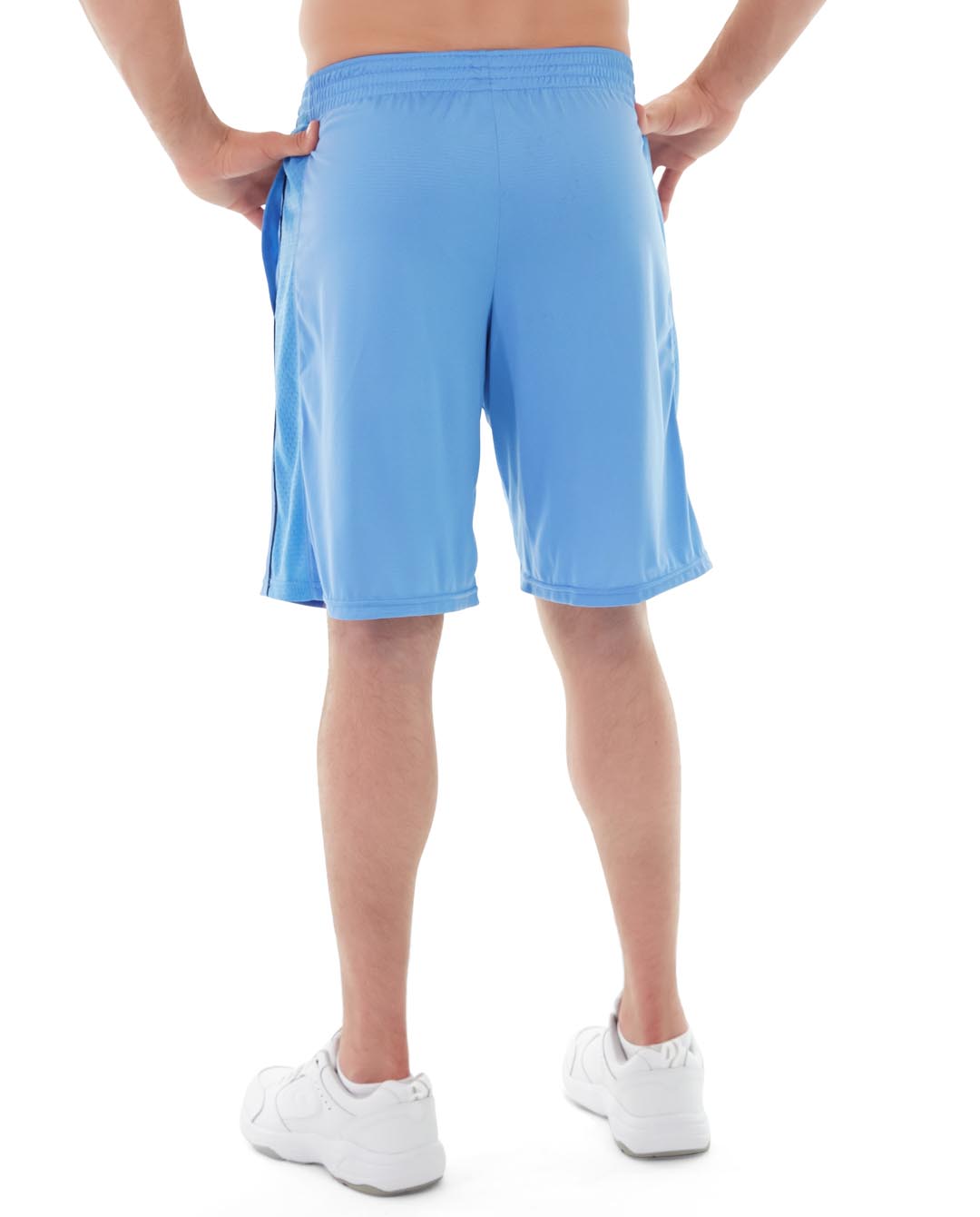 msh10-blue_back.jpg