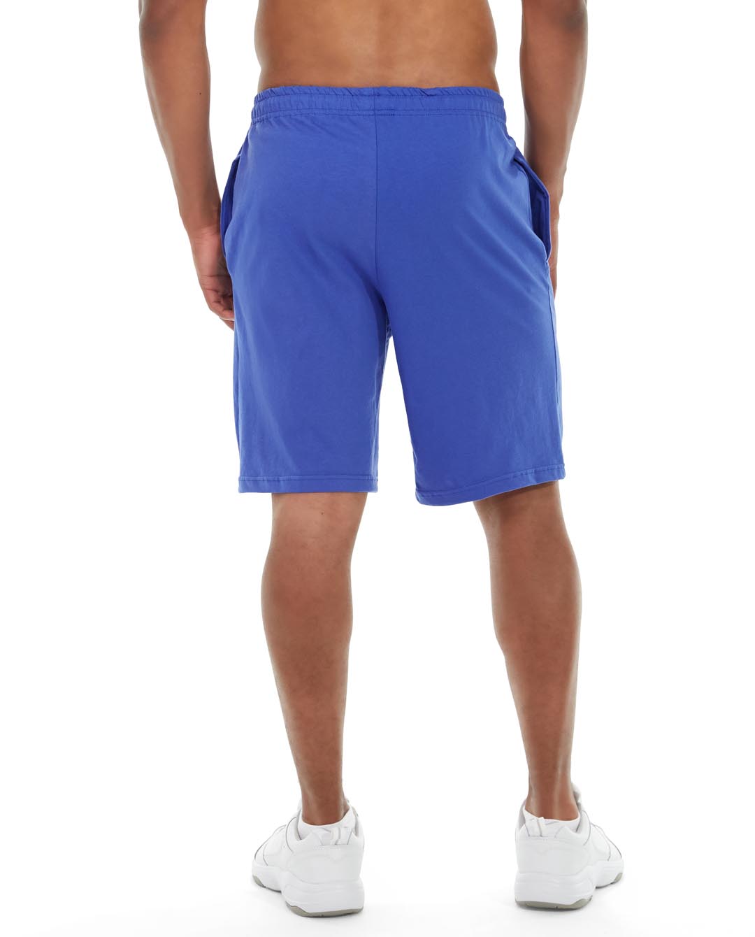 msh11-blue_back.jpg